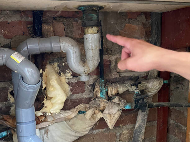 , FL Water damage restoration Company